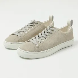 Buddy Bull Terrier Low Chubby Sneaker - Grey Suede