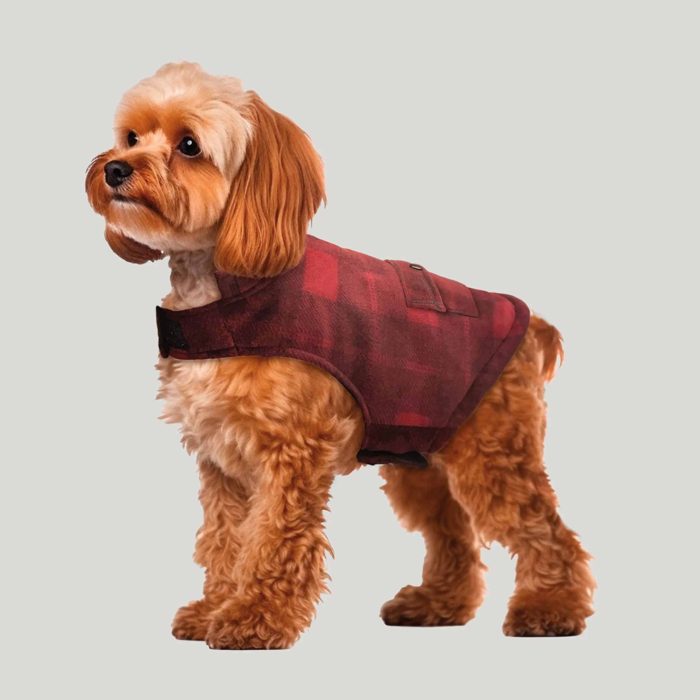 Chill Out Fleece Sherpa Lined Dog Jacket