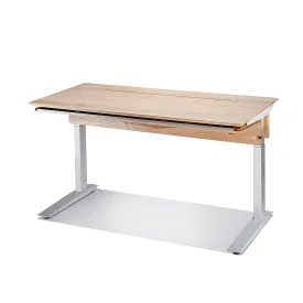 Desk (Hardwood / Maple / Simple)