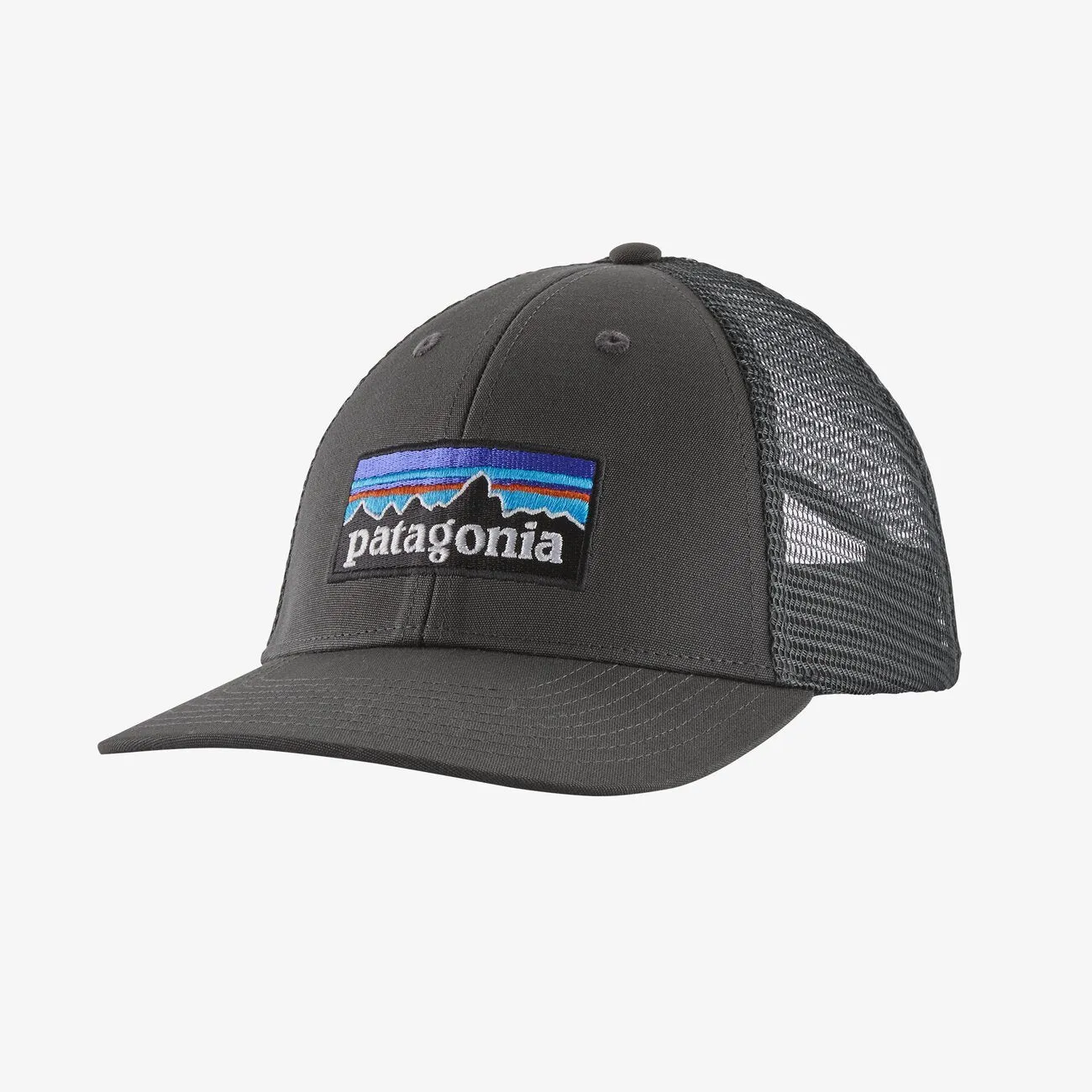 Patagonia P-6 Line Logo Ridge LoPro Trucker Hat