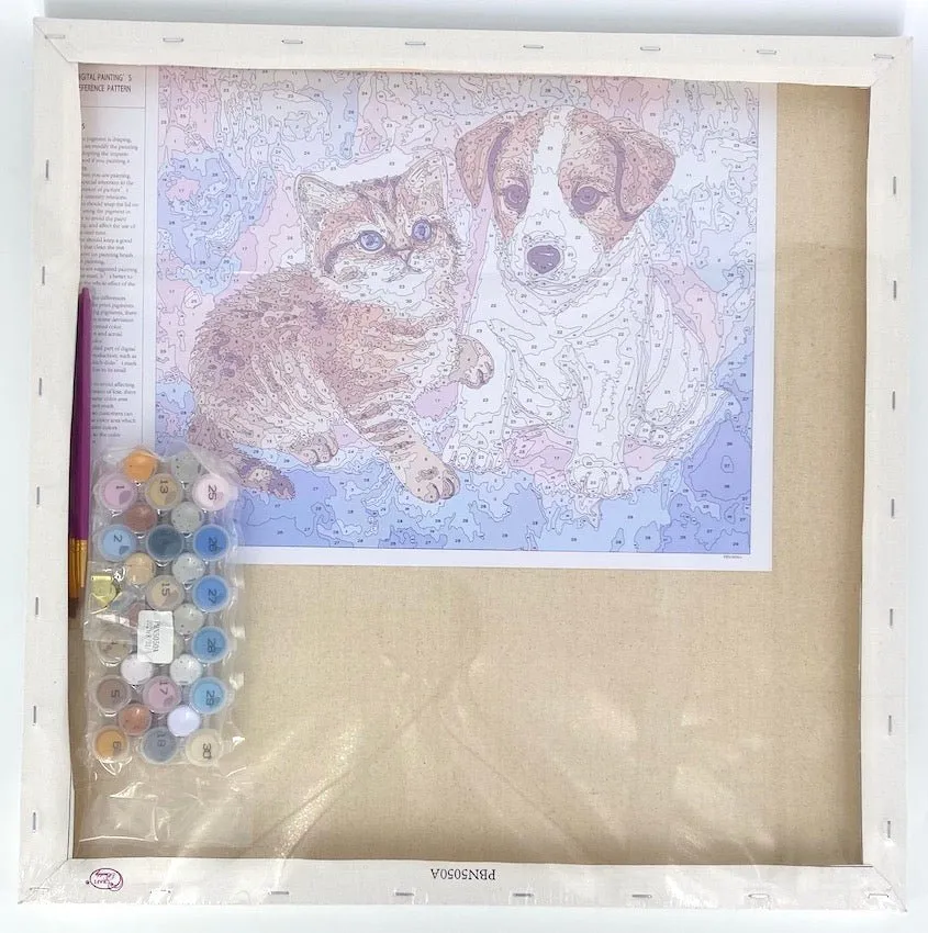 "Cat and Dog" Paint By Numb3rs Kit 50x50cm