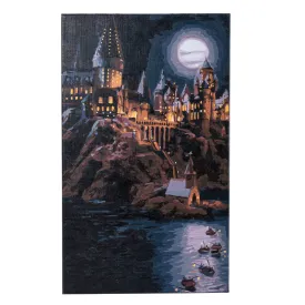 "Magical Hogwarts" Harry Potter Paint By Numb3rs Canvas Kit